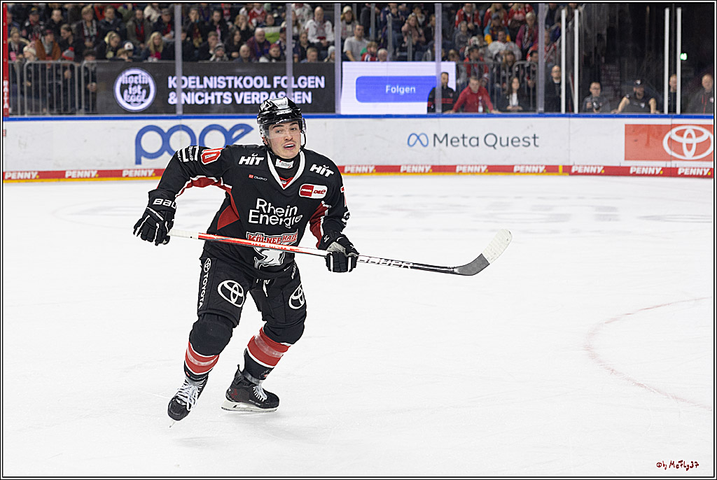 PENNY DEL 1; Kölner Haie - Fischtown Pinguins; Köln, 15.11.2024